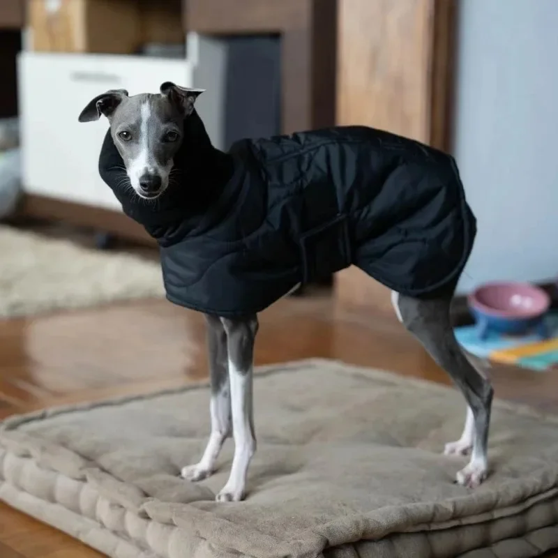 Autumn Dog Cotton-padded Clothing Windproof Cold Protection Winter Thicken Dog Coats Warm and Comfortable Pet Products
Autumn Dog Cotton-padded Clothing Windproof Cold Protection Winter Thicken Dog Coats Warm and Comfortable Pet Products