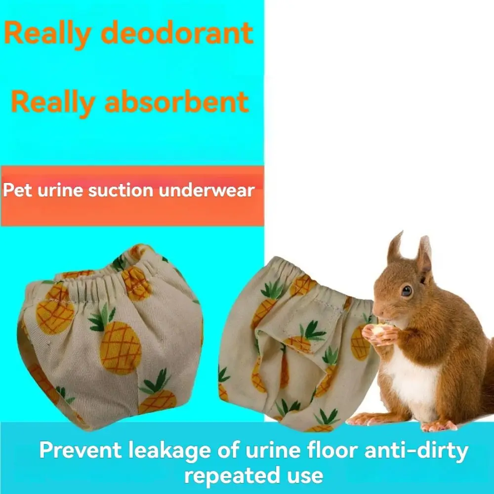 Absorbent Squirrel Diapers Potty Training Flexible Closure Pet Training Pants Comfortable Leak-Proof Squirrel Underwear
Absorbent Squirrel Diapers Potty Training Flexible Closure Pet Training Pants Comfortable Leak-Proof Squirrel Underwear