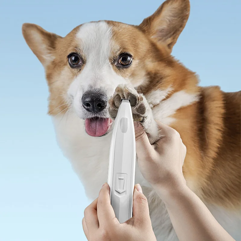 LED Light Pet Dog Hair Trimmer Electric ClippersProfessional Low-noise Dog Grooming Foot EarTool Shaving Trimming Machine
LED Light Pet Dog Hair Trimmer Electric ClippersProfessional Low-noise Dog Grooming Foot EarTool Shaving Trimming Machine