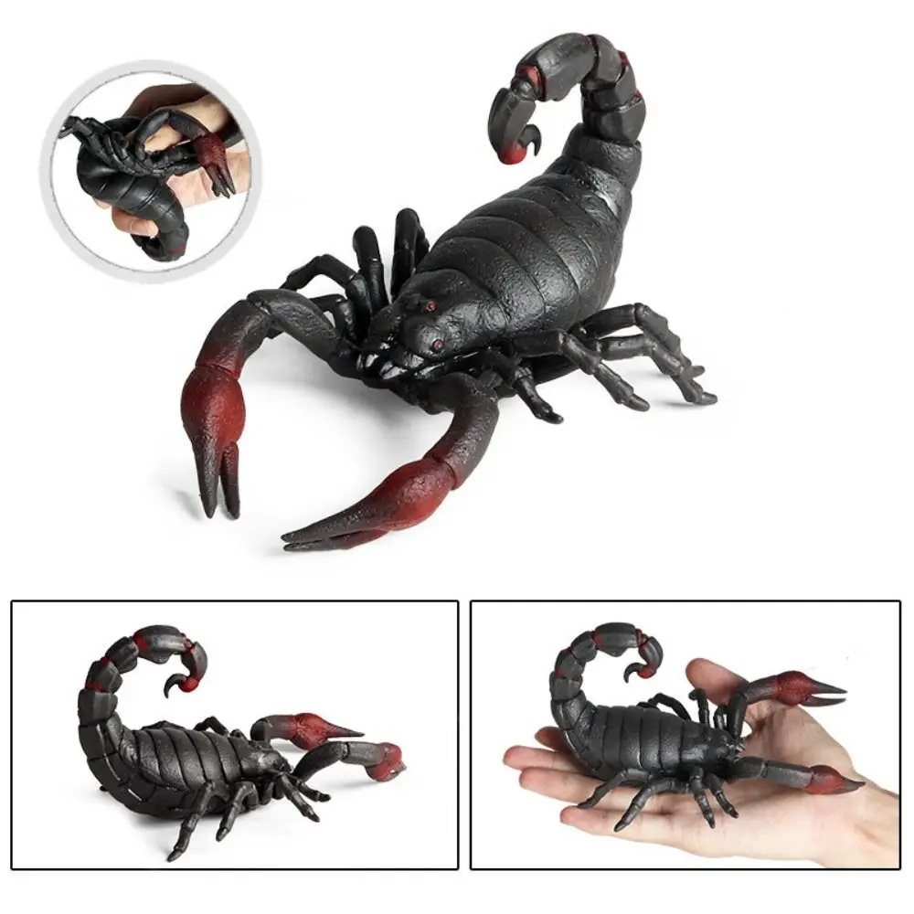 Soft Squid Squeeze Sea Animals Crab Model Pufferfish Simulation Marine Animals Octopus Action Figures Sea Life Model Kids Adults
Soft Squid Squeeze Sea Animals Crab Model Pufferfish Simulation Marine Animals Octopus Action Figures Sea Life Model Kids Adults