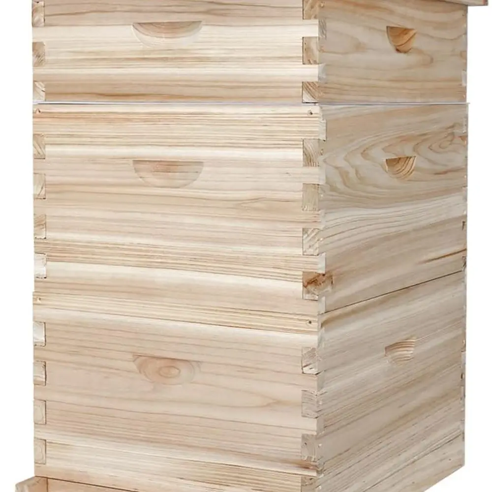 Beginner Beekeeping Kit: 10-Frame Hives with Waxed Foundations (2 Deep Boxes + 1 Medium)
Beginner Beekeeping Kit: 10-Frame Hives with Waxed Foundations (2 Deep Boxes + 1 Medium)