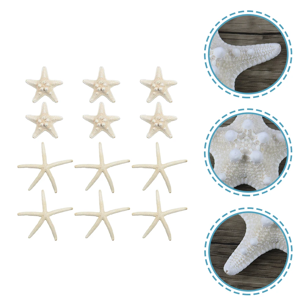 12 pcs Sea Star Decorations Natural Decorative Sea Stars For Home Office Hotel Coffee Shop Christmas Wedding Party
12 pcs Sea Star Decorations Natural Decorative Sea Stars For Home Office Hotel Coffee Shop Christmas Wedding Party