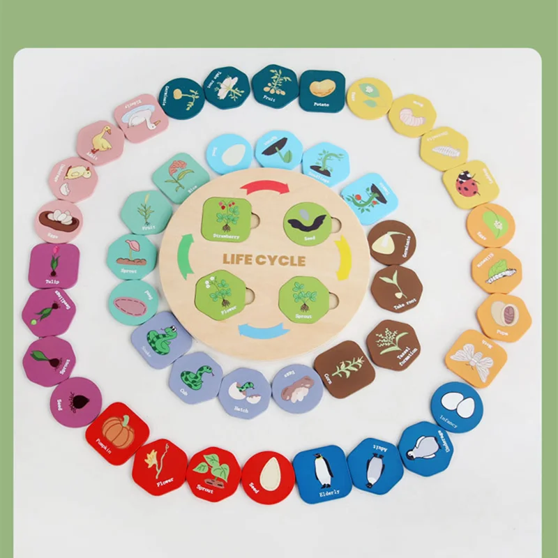 Montessori Life Cycle Board W/ Growth Cycle Puzzles Animal/ Plant Recognition Early Learning Toys Botany Biology Education Game
Montessori Life Cycle Board W/ Growth Cycle Puzzles Animal/ Plant Recognition Early Learning Toys Botany Biology Education Game