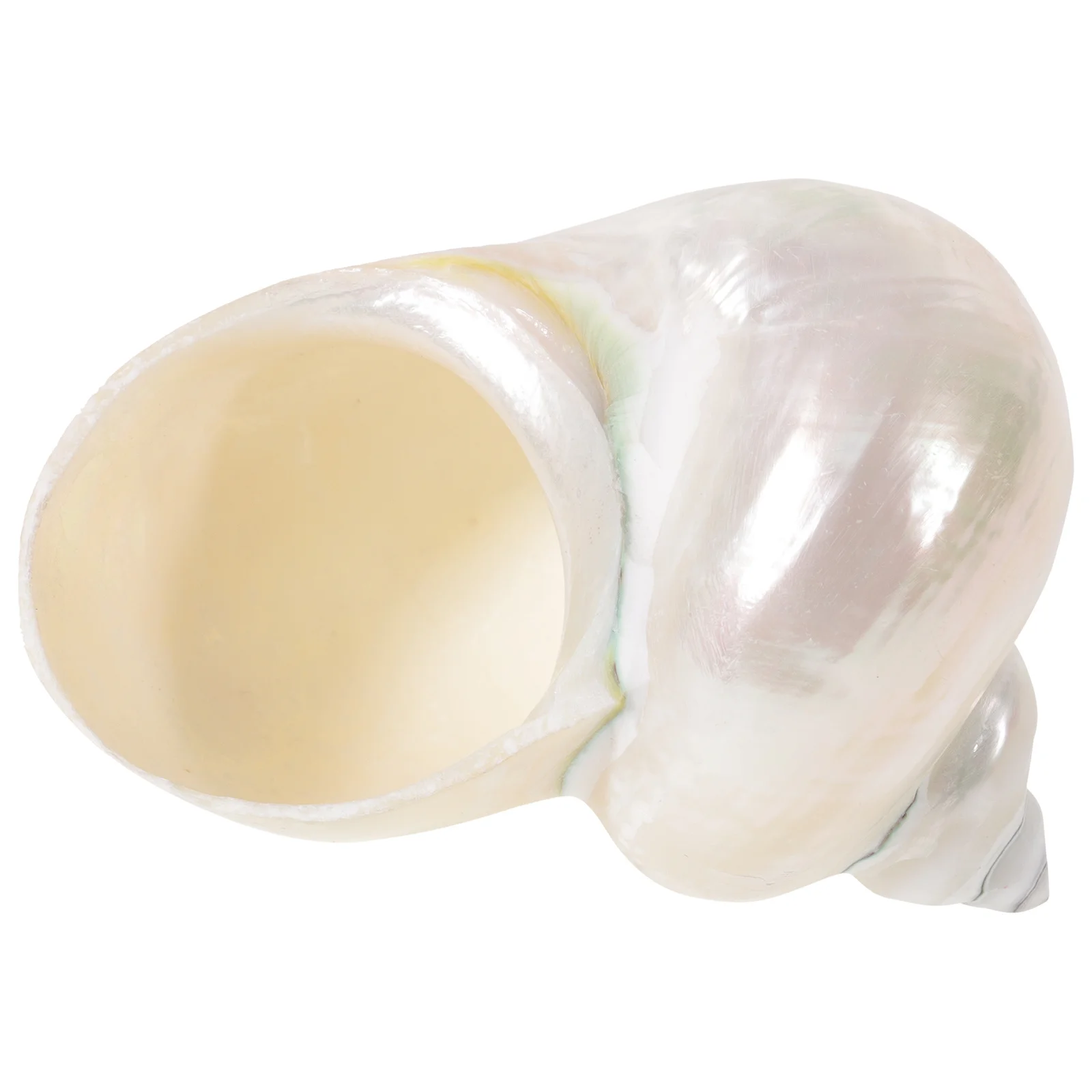 1pcs Glow In The Dark Hermit Crab Conch Shaped Replacement Fish Tank Aquarium Decor Desktop Decoration Crafts Accessories Diy
1pcs Glow In The Dark Hermit Crab Conch Shaped Replacement Fish Tank Aquarium Decor Desktop Decoration Crafts Accessories Diy