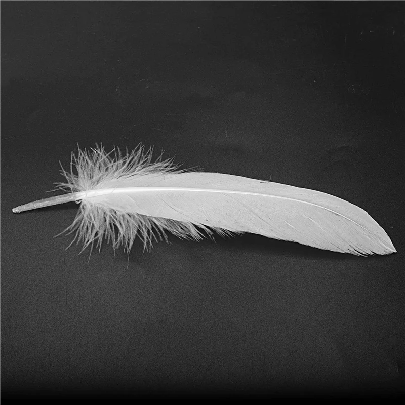 AT33 1000Pcs White Feathers Goose Craft For Party Hat Crafts Wedding Decoration 15-22Cm
AT33 1000Pcs White Feathers Goose Craft For Party Hat Crafts Wedding Decoration 15-22Cm