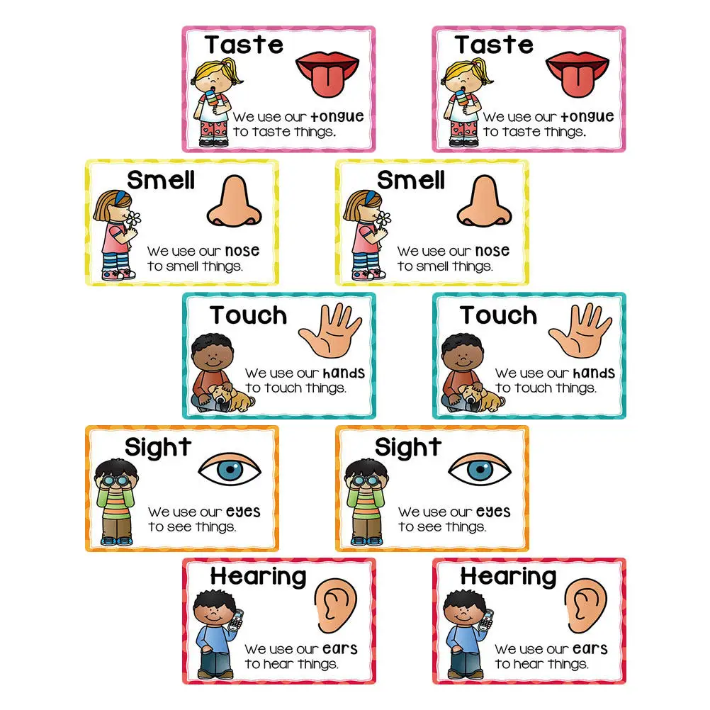 2Sets Educational Flashcards Early Learning Posters for Toddlers Preschool Classroom Cognitive Development Visual
2Sets Educational Flashcards Early Learning Posters for Toddlers Preschool Classroom Cognitive Development Visual