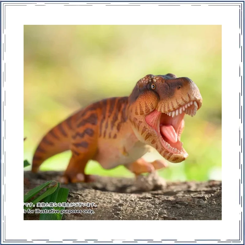 Blind Box Tyrannosaurus Biology Series Doll Keepsake Ornament Children's Day Gifts Action Figure Model Toys
Blind Box Tyrannosaurus Biology Series Doll Keepsake Ornament Children's Day Gifts Action Figure Model Toys