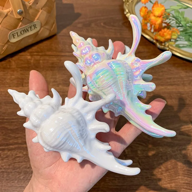 Conch Shape Party Hair Styling Barrettes for Women Girl Ocean Style Hair Clips Bride Headpiece Bridesmaid Hair Gift 2025
Conch Shape Party Hair Styling Barrettes for Women Girl Ocean Style Hair Clips Bride Headpiece Bridesmaid Hair Gift 2025