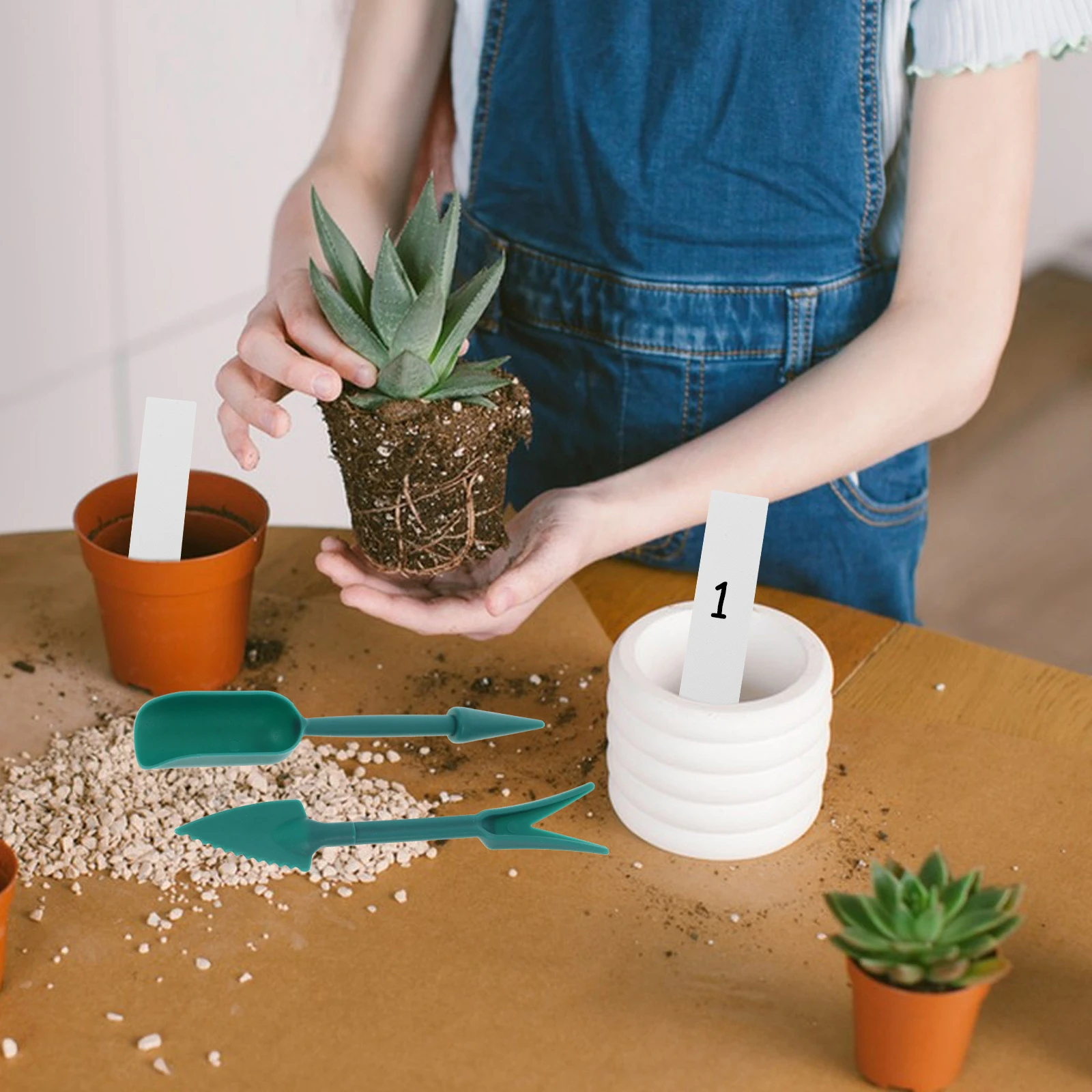 2 set Transplanting Tools Garden Work Supplies Succulent Planting Tool Kit Pot Shovel Cultivator Flower Accessories
2 set Transplanting Tools Garden Work Supplies Succulent Planting Tool Kit Pot Shovel Cultivator Flower Accessories