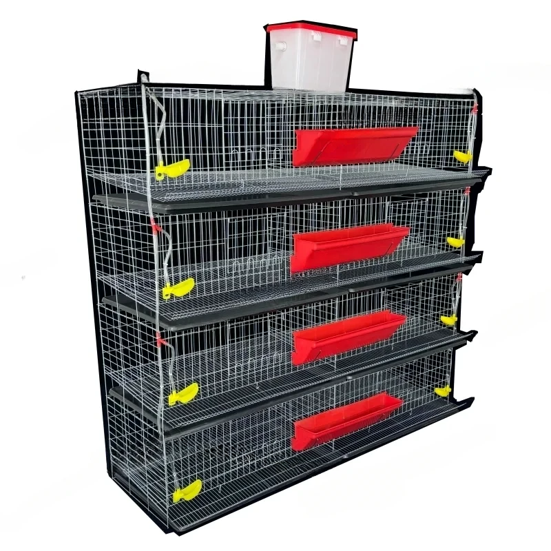 Breeding H Type Battery Layer Quail Cage For Sale
Breeding H Type Battery Layer Quail Cage For Sale