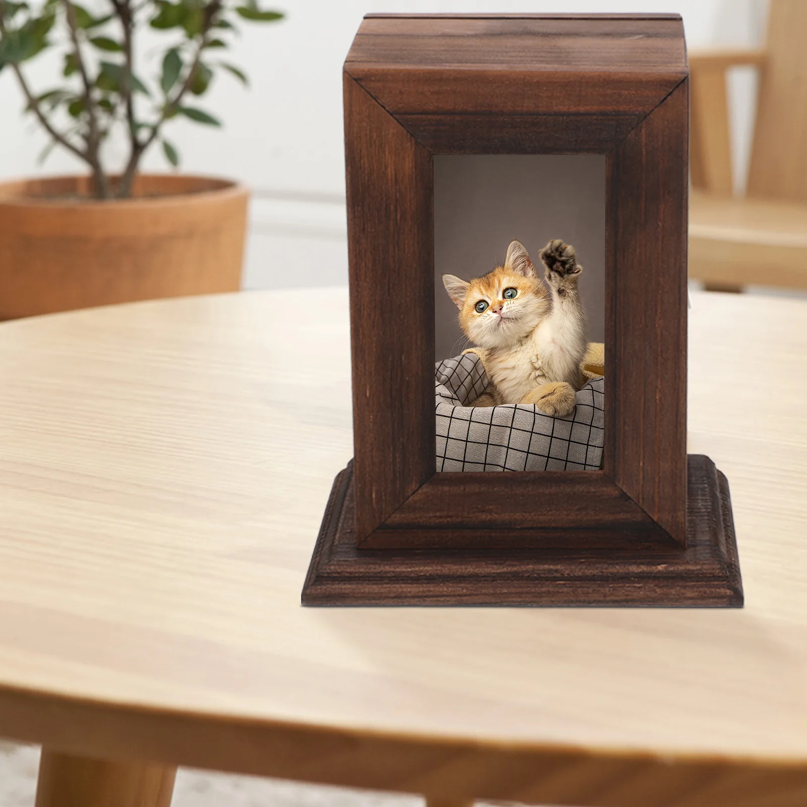 Pet Memorial Urn Boxes Urns for Ashes Cat Cremains Holder Dog Cinerary Casket Commemorate
Pet Memorial Urn Boxes Urns for Ashes Cat Cremains Holder Dog Cinerary Casket Commemorate