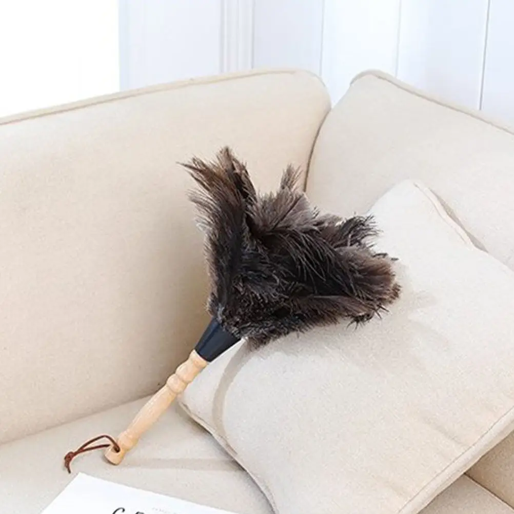 Duster Long Handled Natural Cleaning Tool for Furniture Car Dust Removing Sweeper Home Desktop Bed Dusters
Duster Long Handled Natural Cleaning Tool for Furniture Car Dust Removing Sweeper Home Desktop Bed Dusters