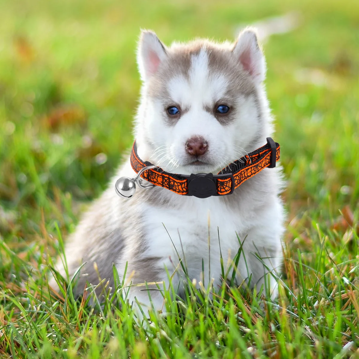 2Pcs Pet Collar Halloween Spider Web Skull Design Adjustable Elastic Large Bell Cat Collar Neck Chain Pet Necklace Decoration
2Pcs Pet Collar Halloween Spider Web Skull Design Adjustable Elastic Large Bell Cat Collar Neck Chain Pet Necklace Decoration