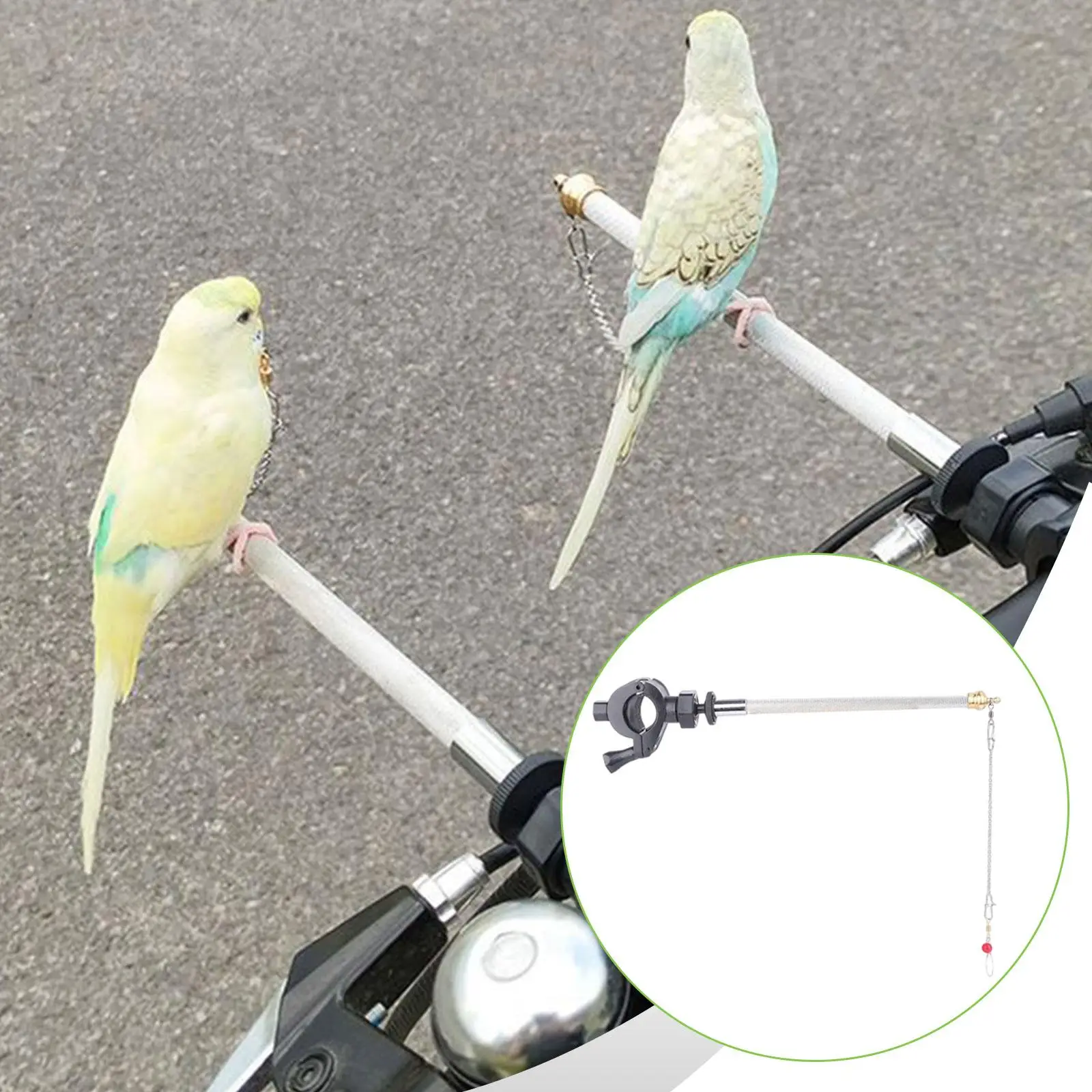 Portable Parrot Handlebar Stand Multifunction Bird Perch Platform Outdoor Bicycle Mounted Station for Parrot Training Cage
Portable Parrot Handlebar Stand Multifunction Bird Perch Platform Outdoor Bicycle Mounted Station for Parrot Training Cage