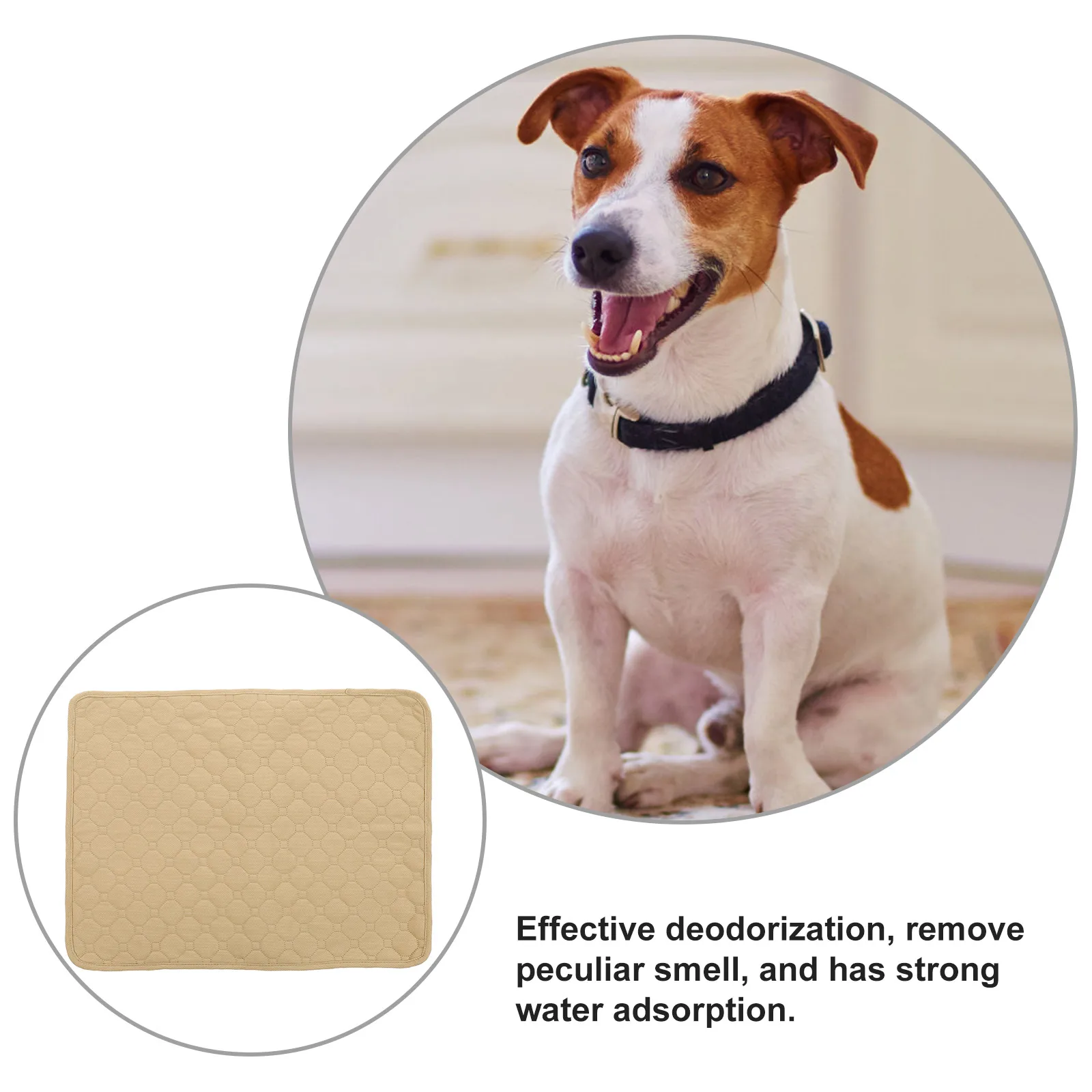Reusable Dog Pee Pad Washable Pet Training Mat for Puppies Indoor Outdoor Use Small Large Sizes Available Comfortable Leakproof
Reusable Dog Pee Pad Washable Pet Training Mat for Puppies Indoor Outdoor Use Small Large Sizes Available Comfortable Leakproof