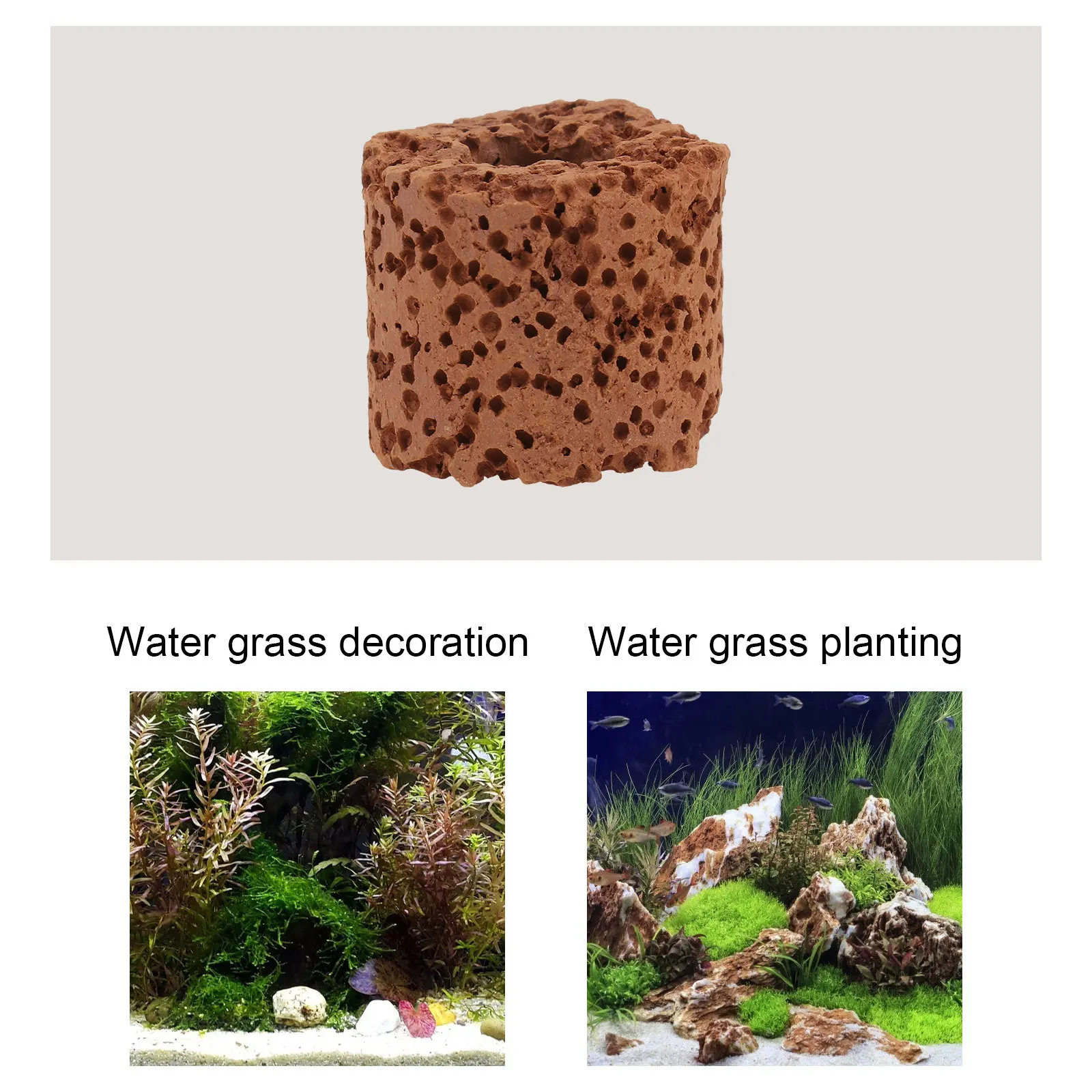 30Pcs Aquarium Plant Holder Sturdy Gravity Ring for Small Fish Tank Decor Water Planting Fixing Tool Dark Red Plant Fixed Ring
30Pcs Aquarium Plant Holder Sturdy Gravity Ring for Small Fish Tank Decor Water Planting Fixing Tool Dark Red Plant Fixed Ring