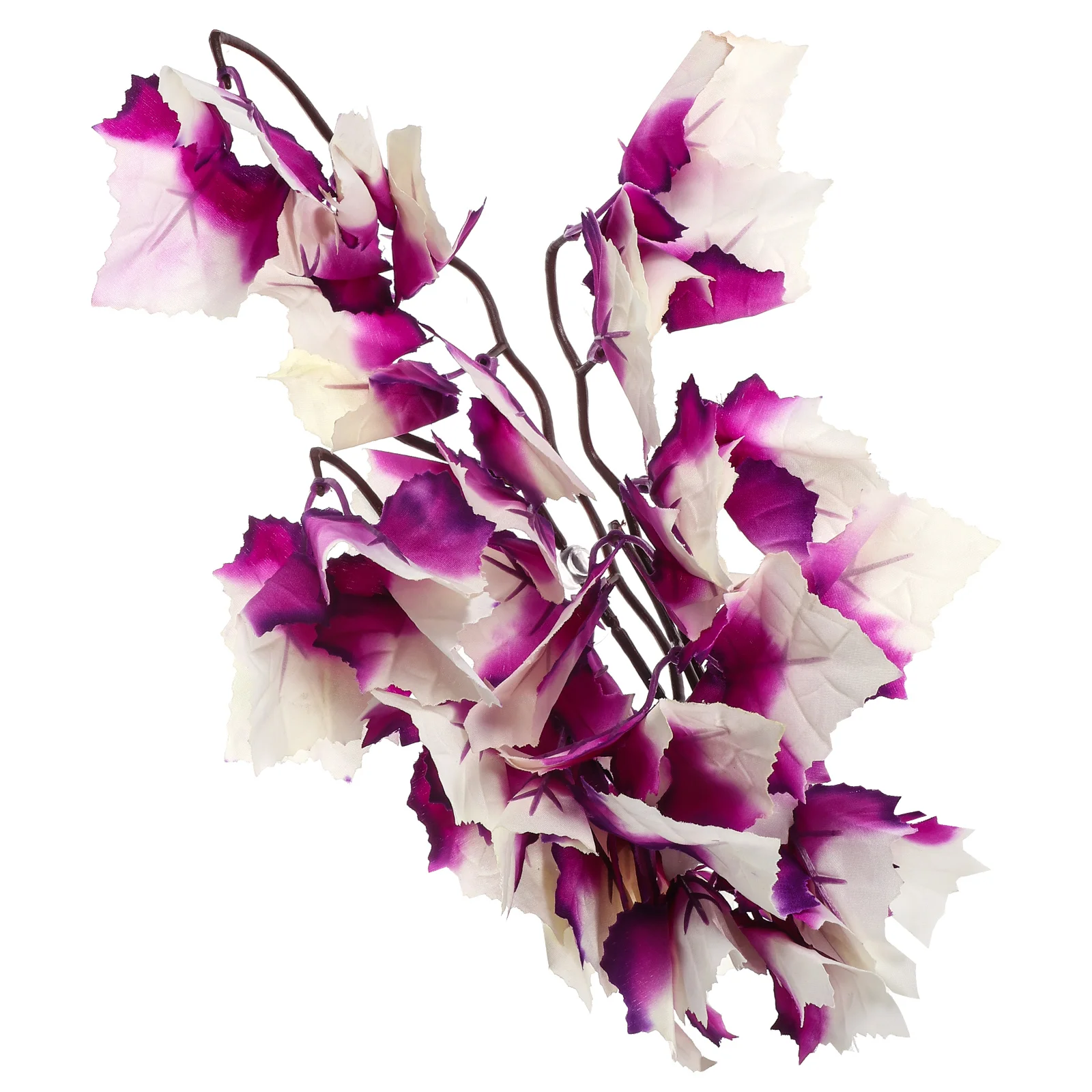 Simulated Aquatic Plants Realistic Decor Fish Tank Water Grass Accessories Purple Rattan Suction Cup Safe Easy Pet
Simulated Aquatic Plants Realistic Decor Fish Tank Water Grass Accessories Purple Rattan Suction Cup Safe Easy Pet