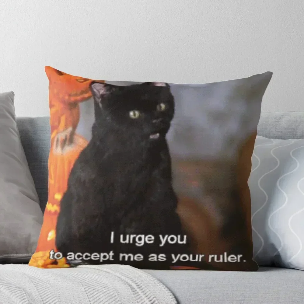 Bow to Salem Throw Pillow Pillows Aesthetic Pillow Covers Decorative Cushions Home Decor Sofa Covers For Living Room pillow
Bow to Salem Throw Pillow Pillows Aesthetic Pillow Covers Decorative Cushions Home Decor Sofa Covers For Living Room pillow