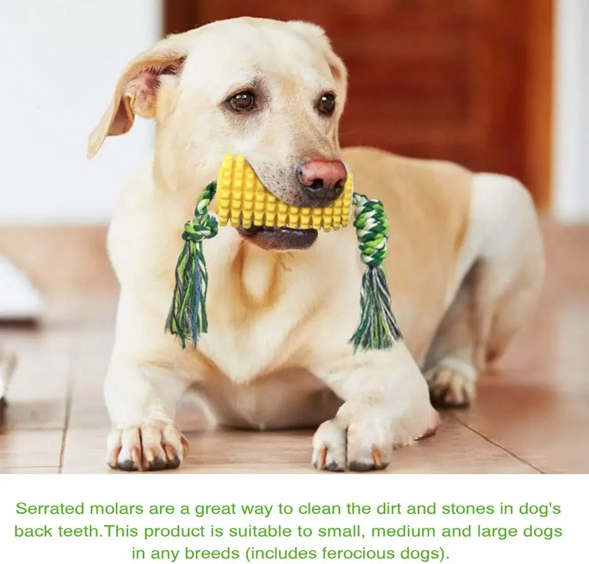 Dog Chew Toys, Puppy Toothbrush Clean Teeth Interactive Corn Toys, Dog Toys Aggressive Chewers Meduium Large Breed
Dog Chew Toys, Puppy Toothbrush Clean Teeth Interactive Corn Toys, Dog Toys Aggressive Chewers Meduium Large Breed