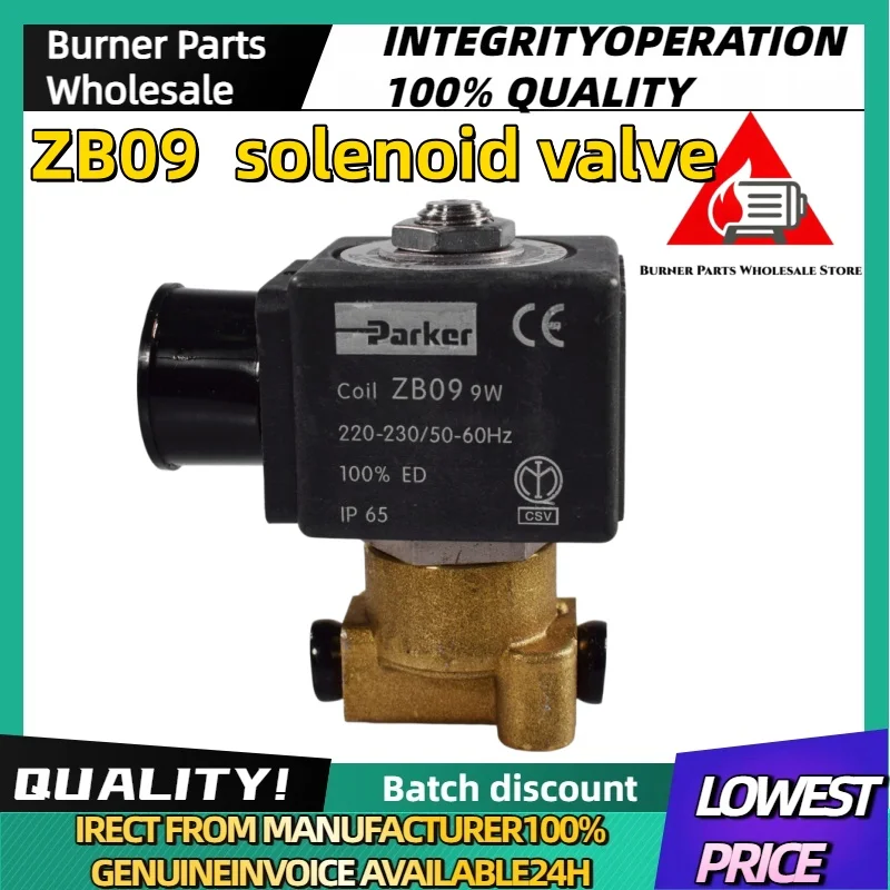 9W 14W Fuel Solenoid Valve ZH14 ZB09 VE146.2FV Brass Body High Temperature Resistant Replacement Parts for Riello Baltur Burner
9W 14W Fuel Solenoid Valve ZH14 ZB09 VE146.2FV Brass Body High Temperature Resistant Replacement Parts for Riello Baltur Burner