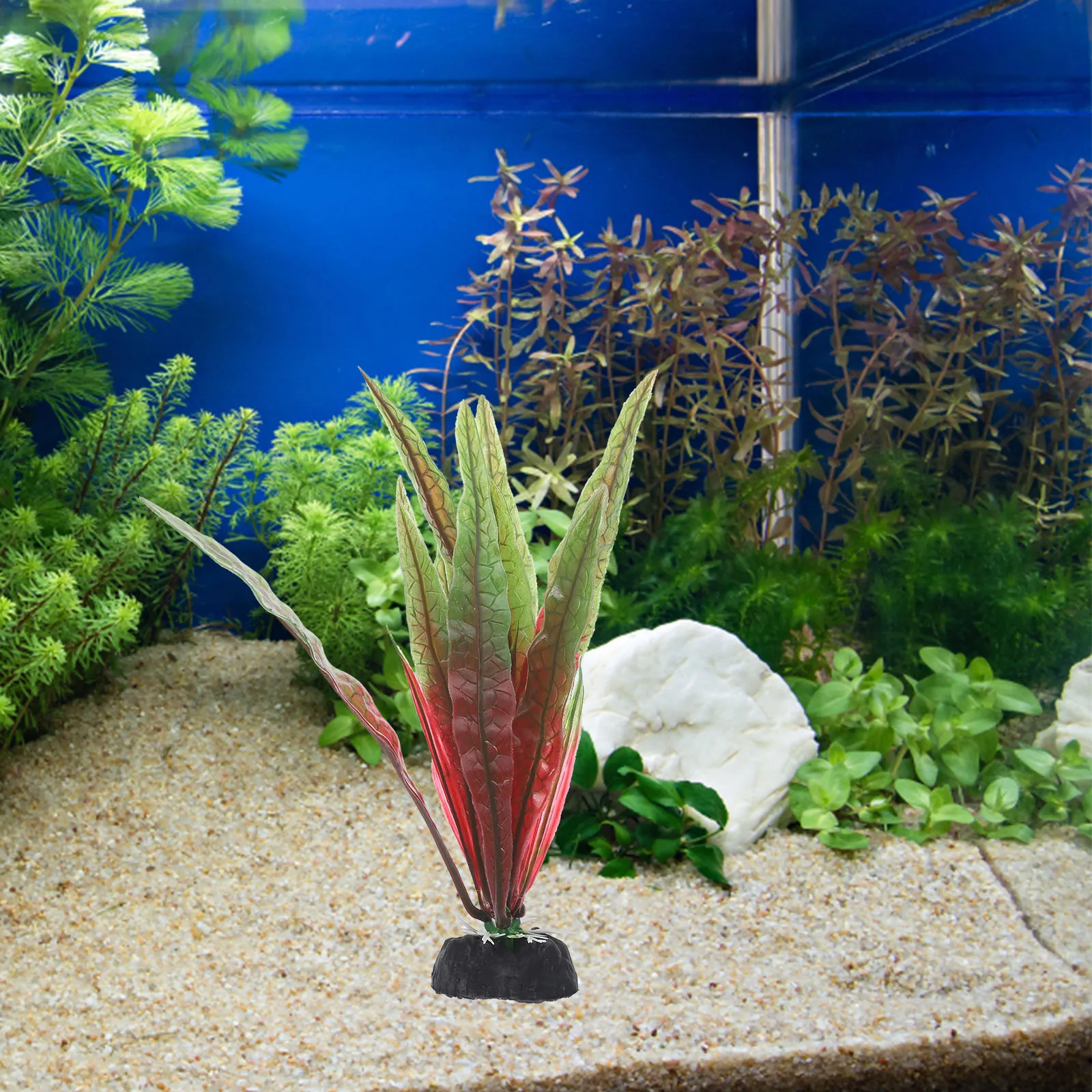 12pcs Realistic Aquarium Seaweed Plastic Fish Tank Plant Decor Artificial Aquatic Plants for Fresh Salt Water Pet Supplies
12pcs Realistic Aquarium Seaweed Plastic Fish Tank Plant Decor Artificial Aquatic Plants for Fresh Salt Water Pet Supplies