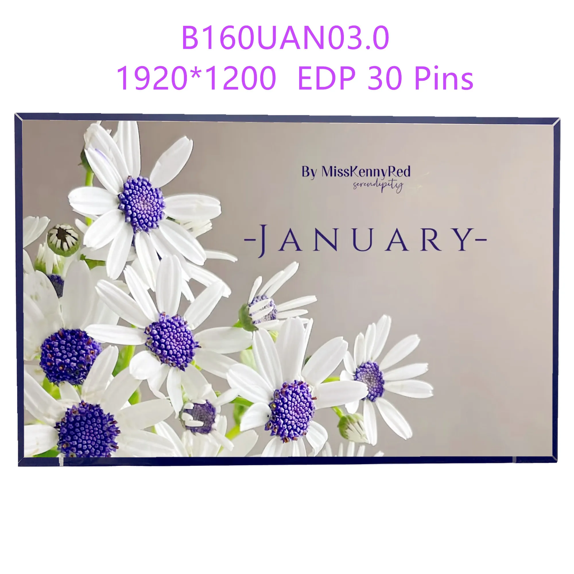 16.0'' B160UAN03.0 Laptop LCD Screen Display Panel 1920*1200 EDP 30 Pins
16.0'' B160UAN03.0 Laptop LCD Screen Display Panel 1920*1200 EDP 30 Pins