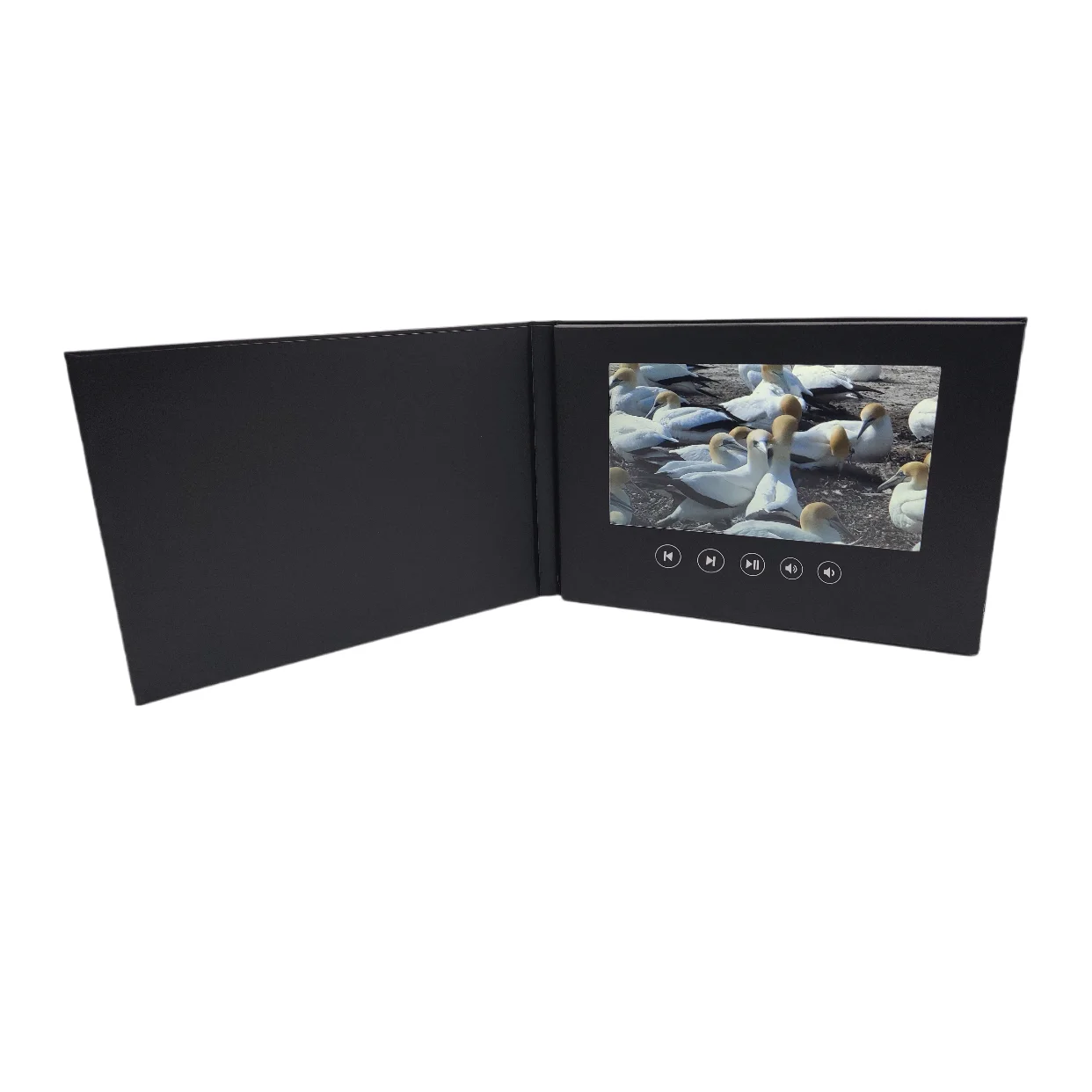 All black 7 inches hard cover video brochure with IPS screen 4GB memory 2000mah battery 5 buttons all blank
All black 7 inches hard cover video brochure with IPS screen 4GB memory 2000mah battery 5 buttons all blank