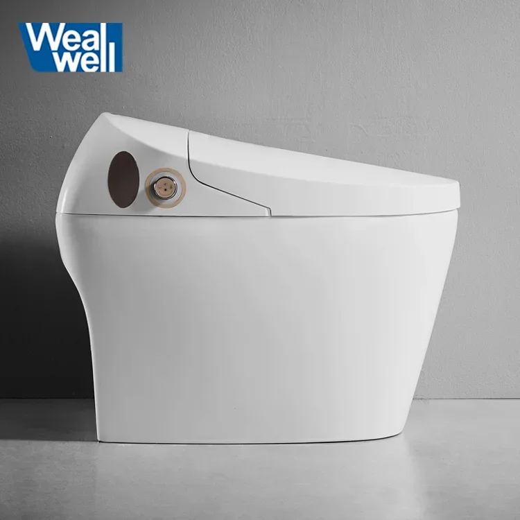 Stylish smart bidet toilet One piece intelligent bidet toilet tankless smart toilet
Stylish smart bidet toilet One piece intelligent bidet toilet tankless smart toilet