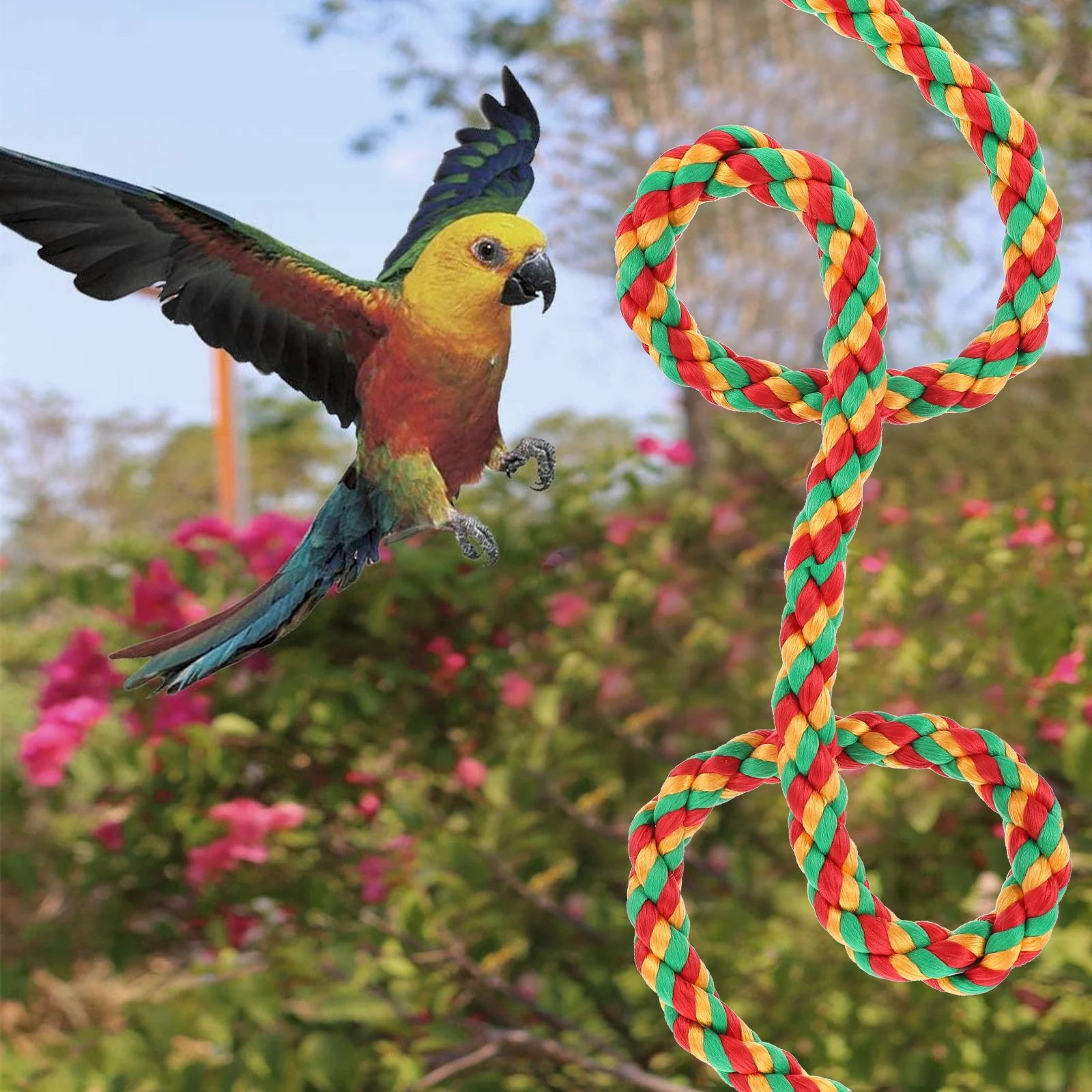 2 pcs Parrot St Set Cotton Rope Swing Accessories Bright Colors Wear Resistant Multi Purpose Birdcage Toys Wooden Perch Paw
2 pcs Parrot St Set Cotton Rope Swing Accessories Bright Colors Wear Resistant Multi Purpose Birdcage Toys Wooden Perch Paw