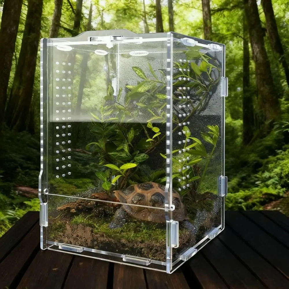 Acrylic Jumping Spider Enclosure Buckle Lock Escape Proof Spider House Ventilated Transparent Reptile Feeding Tank
Acrylic Jumping Spider Enclosure Buckle Lock Escape Proof Spider House Ventilated Transparent Reptile Feeding Tank