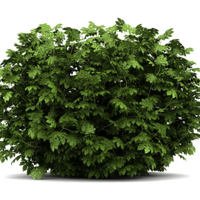 Отличный комплект рулевого управления для радиоуправляемого автомобиля для Tamiya M05 M06, M-05Pro, M-06Pro, аксессуары для обновления радиоуправляемого автомобиля
Отличный комплект рулевого управления для радиоуправляемого автомобиля для Tamiya M05 M06, M-05Pro, M-06Pro, аксессуары для обновления радиоуправляемого автомобиля