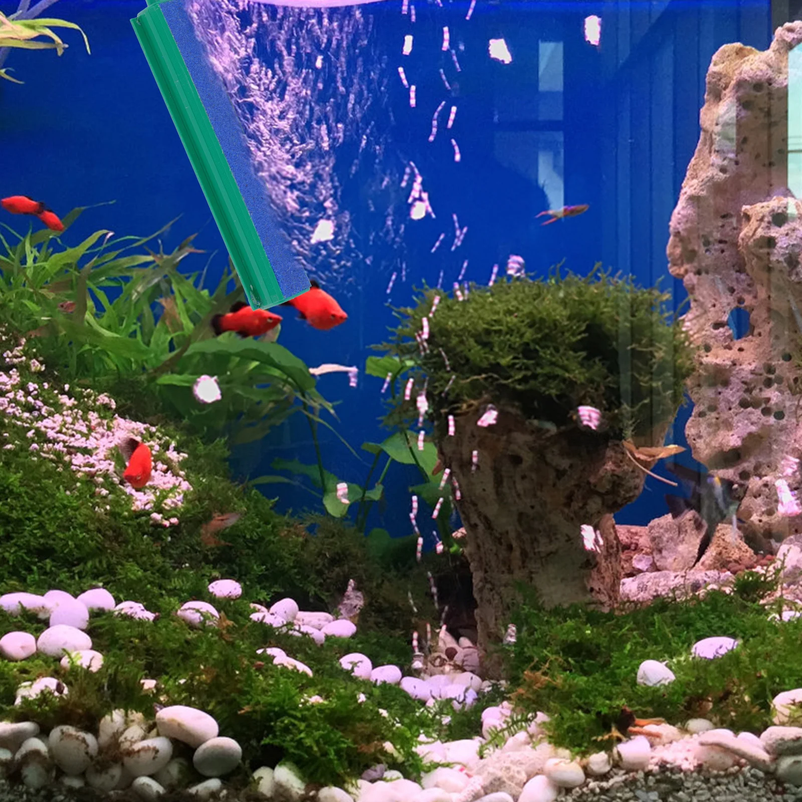 5 pcs Air Stone Bar Aquarium Oxygen Diffuser For Fish Tank Aeration Decoration Suitable With Air Pump Bubbling Device
5 pcs Air Stone Bar Aquarium Oxygen Diffuser For Fish Tank Aeration Decoration Suitable With Air Pump Bubbling Device