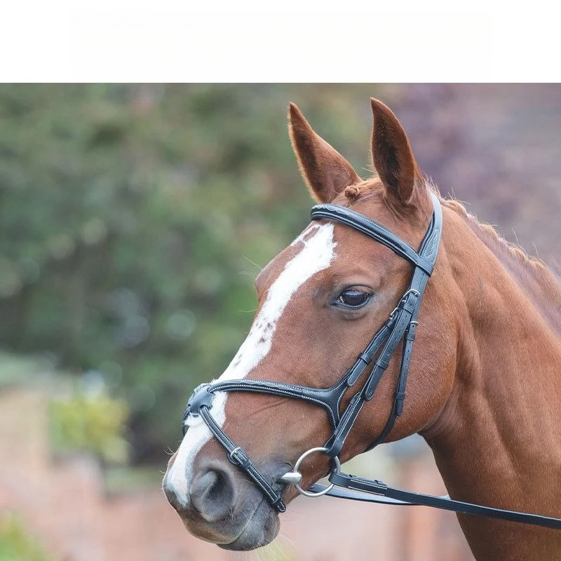 British figure 8, cowhide water reins, a combination of classics and craftsmanship 8218087
British figure 8, cowhide water reins, a combination of classics and craftsmanship 8218087
