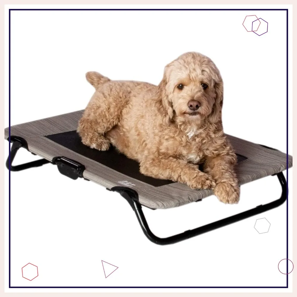 Elevated Pet Cot, No Assembly Needed, Cooling Mesh Bed for Indoor/Outdoor Use, Lightweight & Portable, 30 Inch, Gray
Elevated Pet Cot, No Assembly Needed, Cooling Mesh Bed for Indoor/Outdoor Use, Lightweight & Portable, 30 Inch, Gray