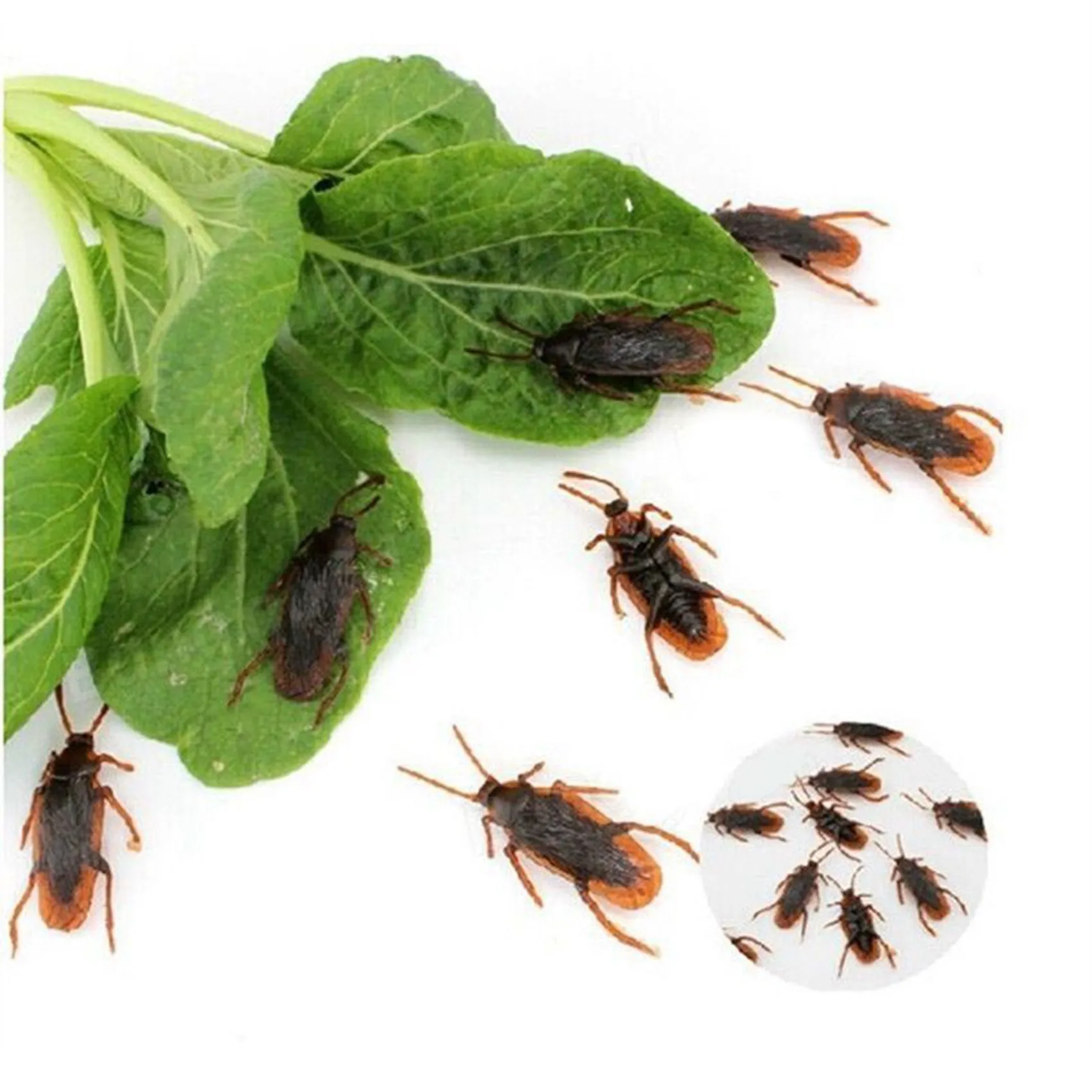 AS95-24 Pcs Halloween Simulated Plastic Cockroaches Deceptive Props Toy Trick Decor
AS95-24 Pcs Halloween Simulated Plastic Cockroaches Deceptive Props Toy Trick Decor