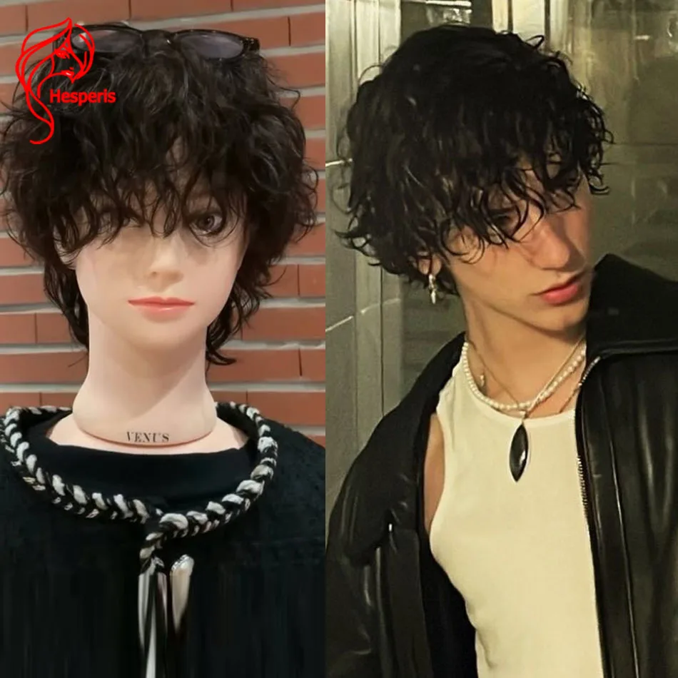 Hesperis Boy Короткая стрижка Парик фронта шнурка Мужской натуральный свободный вьющийся парик с стрижкой пикси для мужчин Человеческие волосы Бразильские волосы Remy Предварительно выщипанные
Hesperis Boy Короткая стрижка Парик фронта шнурка Мужской натуральный свободный вьющийся парик с стрижкой пикси для мужчин Человеческие волосы Бразильские волосы Remy Предварительно выщипанные