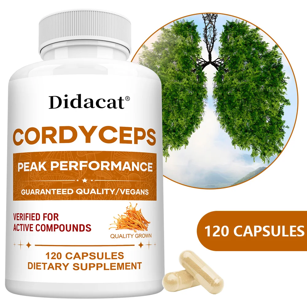 Капсулы Cordyceps Mushroom Supplement, способствующие здоровье, повышают иммунитет и повышает энергию, фокус и выносливость.
Капсулы Cordyceps Mushroom Supplement, способствующие здоровье, повышают иммунитет и повышает энергию, фокус и выносливость.