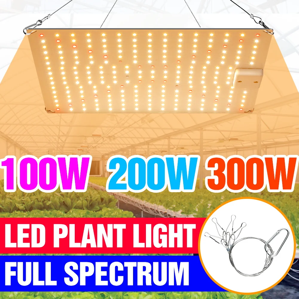 300W LED Grow Lamp Full Spectrum 100-277V Indoor Quantum Board Plant Fill Light Greenhouse Tent Vegetables Cultivation Lighting
300W LED Grow Lamp Full Spectrum 100-277V Indoor Quantum Board Plant Fill Light Greenhouse Tent Vegetables Cultivation Lighting