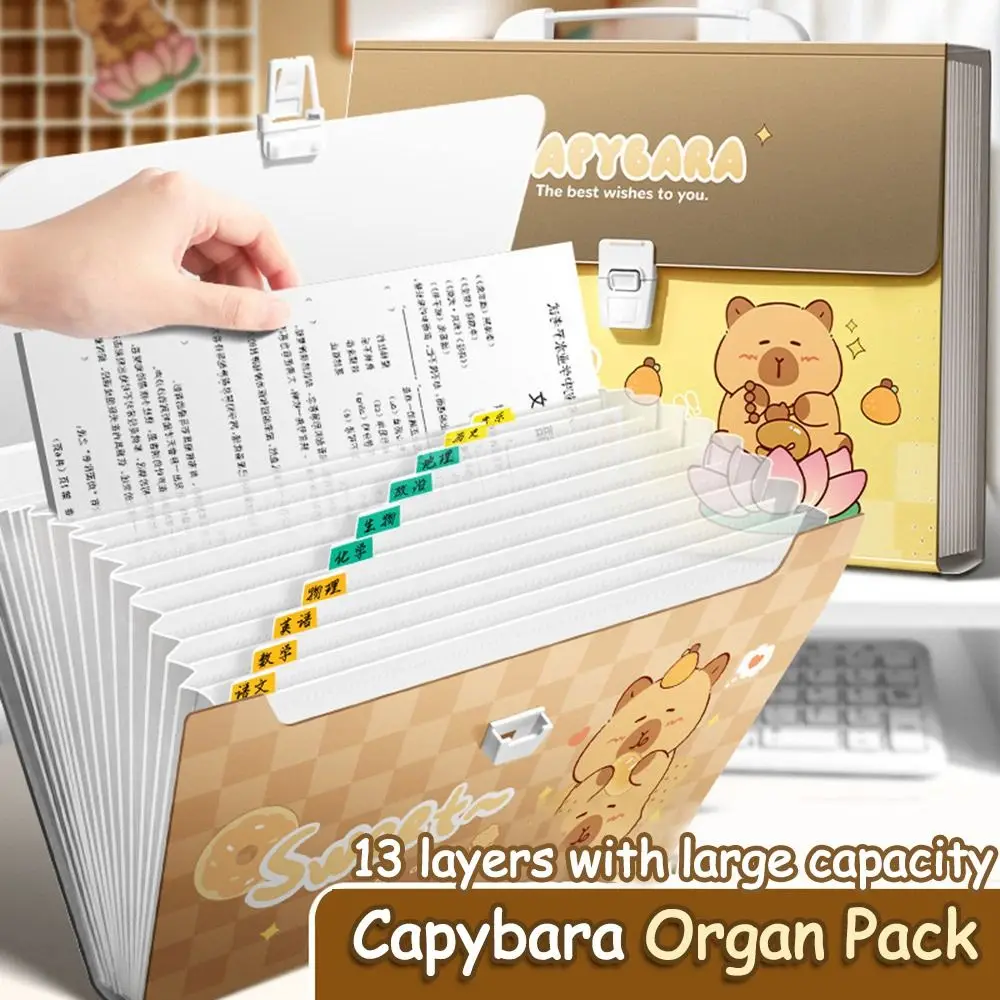13 Layer Capibara Document Folder Large Capacity A4 File Folder Envelope Folder Waterproof Test Paper Storage Bag
13 Layer Capibara Document Folder Large Capacity A4 File Folder Envelope Folder Waterproof Test Paper Storage Bag