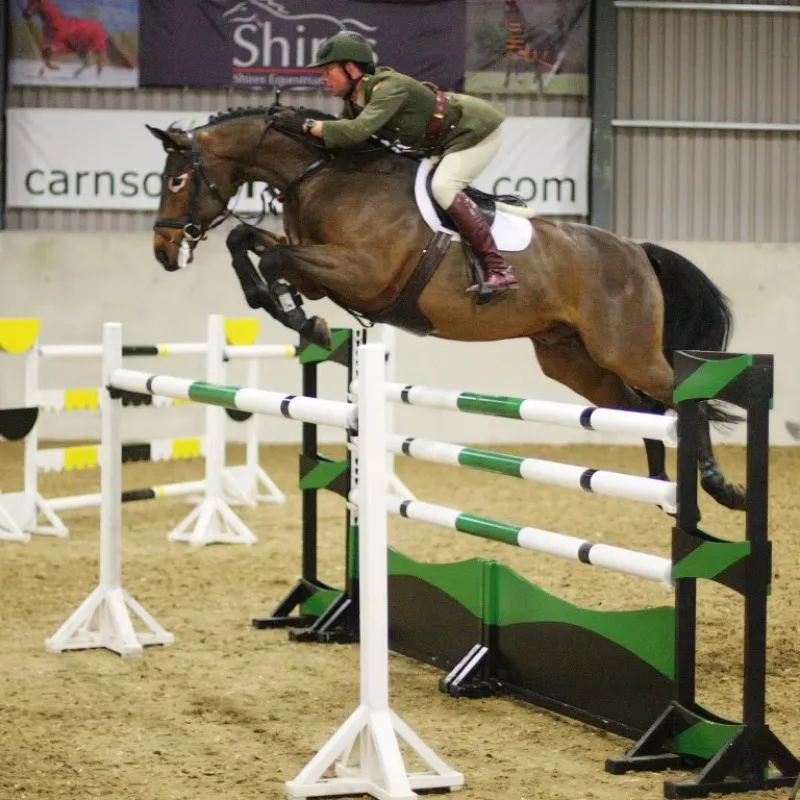 Large PVC Jumping Horse Statue with PVC Jump Blocks Horses Jumping Barriers for Riding on Sale Pferdesprung
Large PVC Jumping Horse Statue with PVC Jump Blocks Horses Jumping Barriers for Riding on Sale Pferdesprung