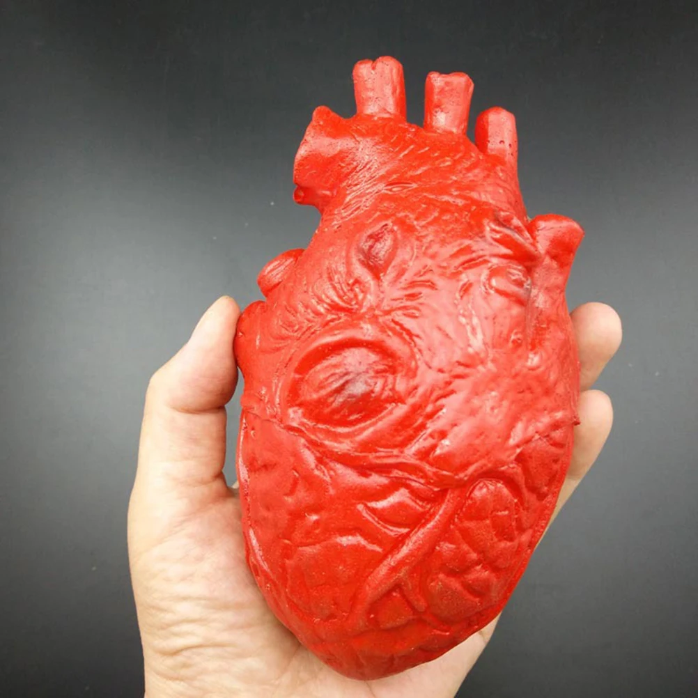 5 Pcs Severed Limbs Props Decorations Creepy Victim Broken Hand Scary Accessories Heart Prank Halloween Fake Decorate
5 Pcs Severed Limbs Props Decorations Creepy Victim Broken Hand Scary Accessories Heart Prank Halloween Fake Decorate