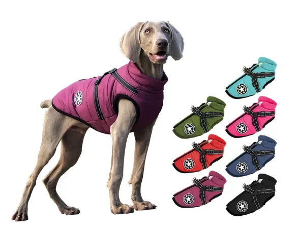 Waterproof Warm Dog Jacket Vest Winter Dog Clothes With Harness French-Bulldog Coat Pet Costume for Small Large Dogs Chihuahua
Waterproof Warm Dog Jacket Vest Winter Dog Clothes With Harness French-Bulldog Coat Pet Costume for Small Large Dogs Chihuahua