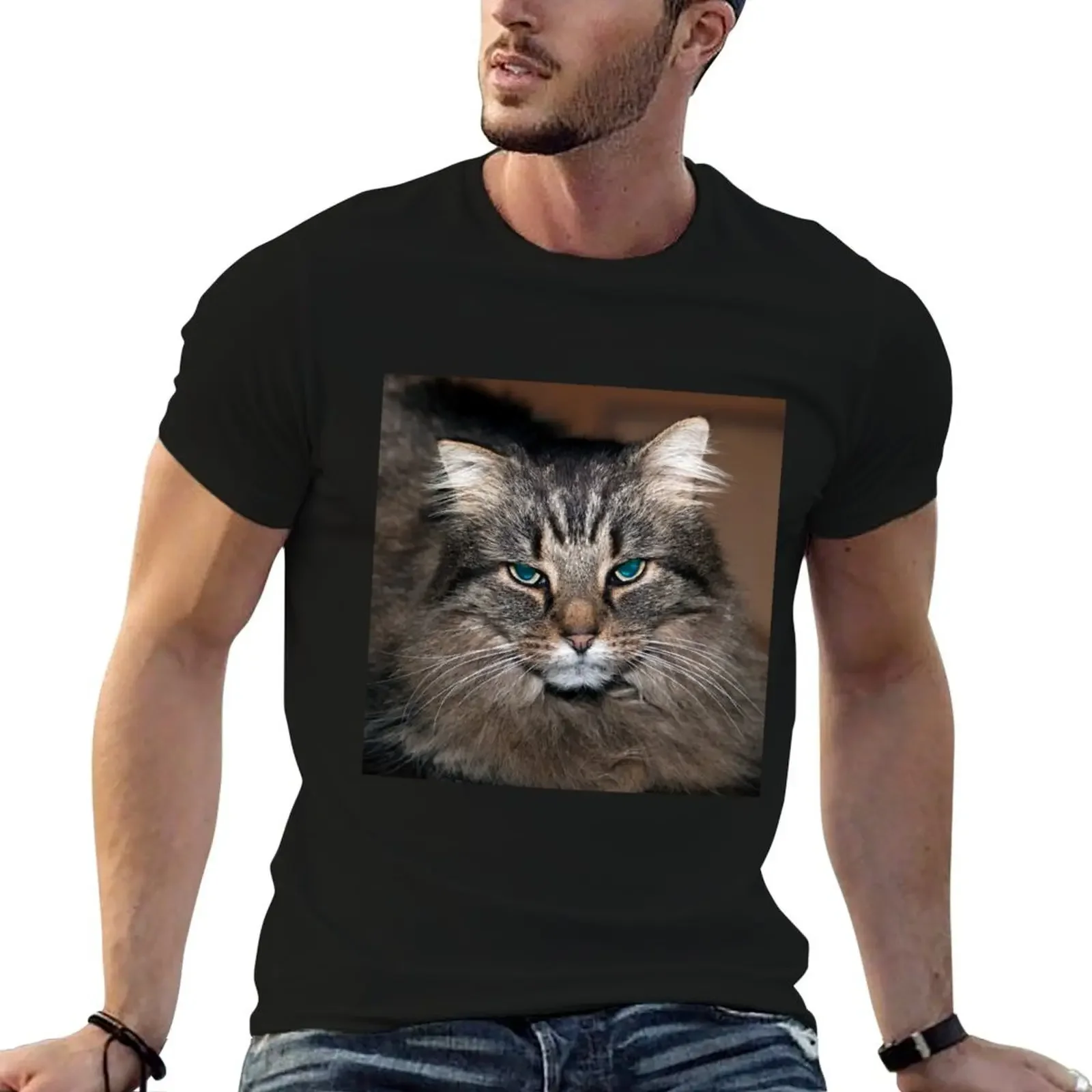 Tiggy, The Cinema Museum Cat T-Shirt Funny t-shirt anime shirt customizeds Personalized t-shirt luxury clothes men
Tiggy, The Cinema Museum Cat T-Shirt Funny t-shirt anime shirt customizeds Personalized t-shirt luxury clothes men