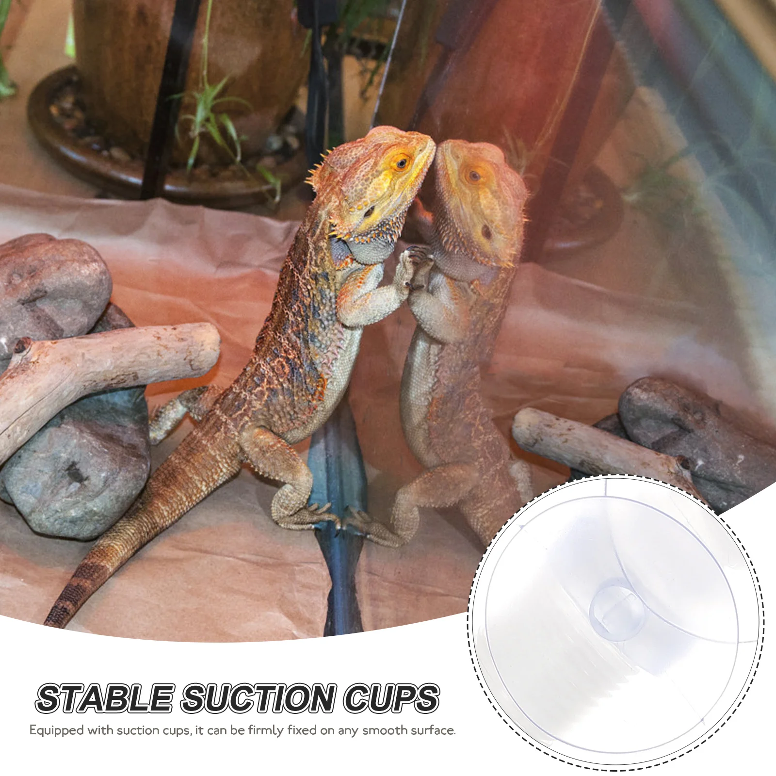 Reptile Humidifier Extension Tube Stretchable Hose Durable Material Suction Cups Glass Container Terrarium Accessories
Reptile Humidifier Extension Tube Stretchable Hose Durable Material Suction Cups Glass Container Terrarium Accessories
