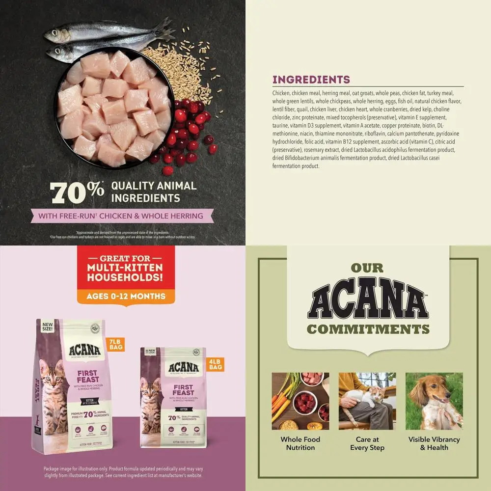 Dry Cat Food for Kittens - 7 lbs Bag with Chicken and Fish
Dry Cat Food for Kittens - 7 lbs Bag with Chicken and Fish