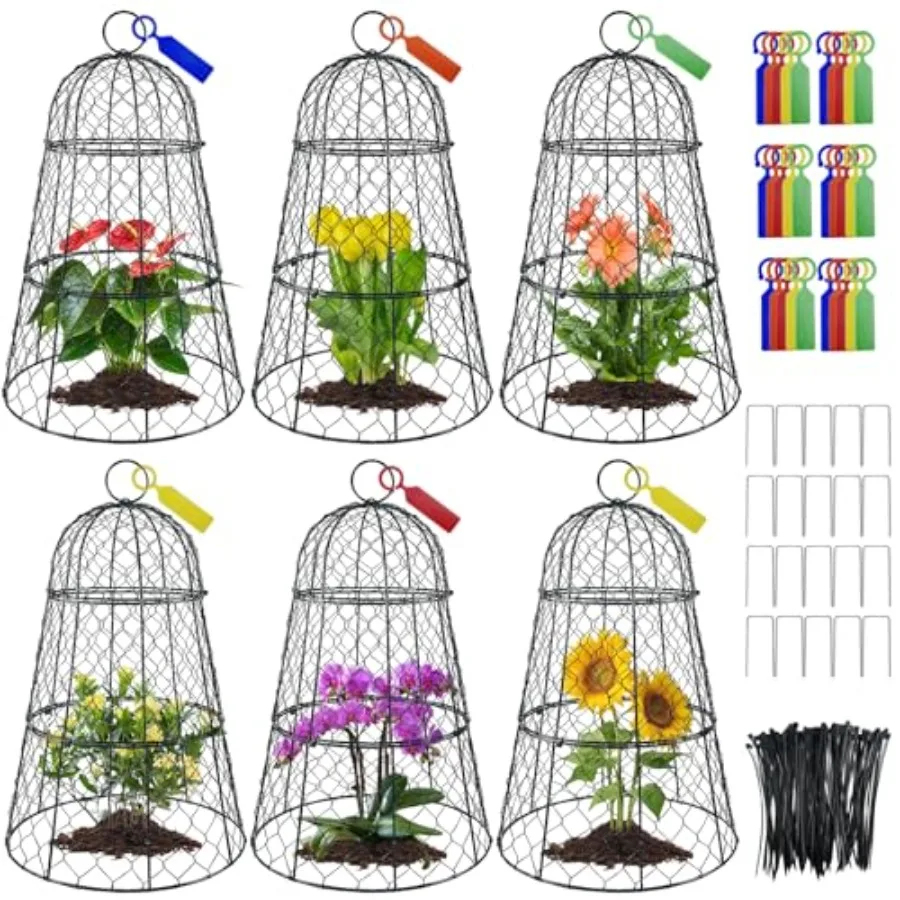 Garden seedling protection: rustproof heavy duty metal chicken wire plant covers, silver, modular cloches design with stakes la
Garden seedling protection: rustproof heavy duty metal chicken wire plant covers, silver, modular cloches design with stakes la