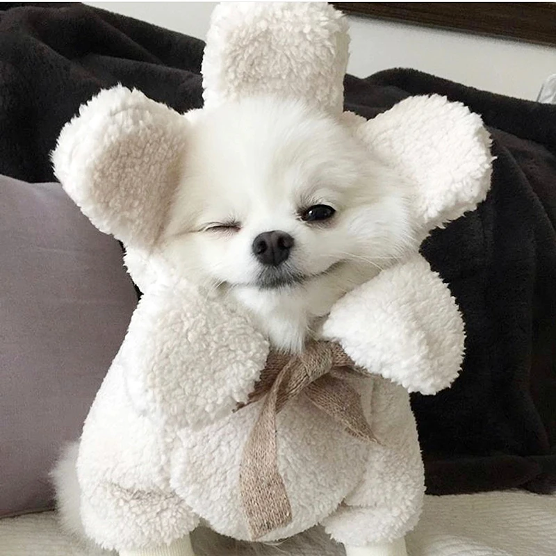Pet Sun Flower Cotton Coat Warm Fleece Teddy Autumn and Winter Clothes Than Bear Thick Coat Fashionable Dog Clothes
Pet Sun Flower Cotton Coat Warm Fleece Teddy Autumn and Winter Clothes Than Bear Thick Coat Fashionable Dog Clothes