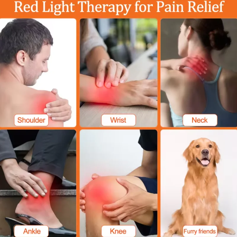 Cold Laser Therapy Infrared Physiotherapy Lamp 808nm 650nm Chiropractic Use for Pain and Tendonitis Healing
Cold Laser Therapy Infrared Physiotherapy Lamp 808nm 650nm Chiropractic Use for Pain and Tendonitis Healing