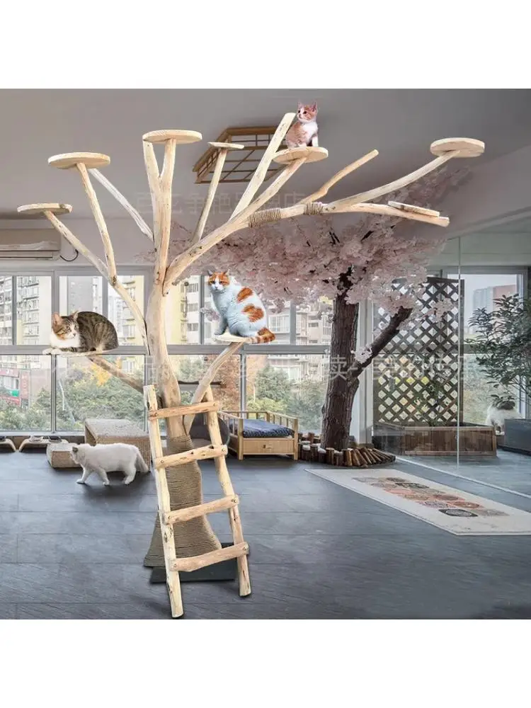 Climbing Frame for Cat, Large Fake Tree, Jumping Platform, Stable Cat Crawling Furniture, New Toy
Climbing Frame for Cat, Large Fake Tree, Jumping Platform, Stable Cat Crawling Furniture, New Toy