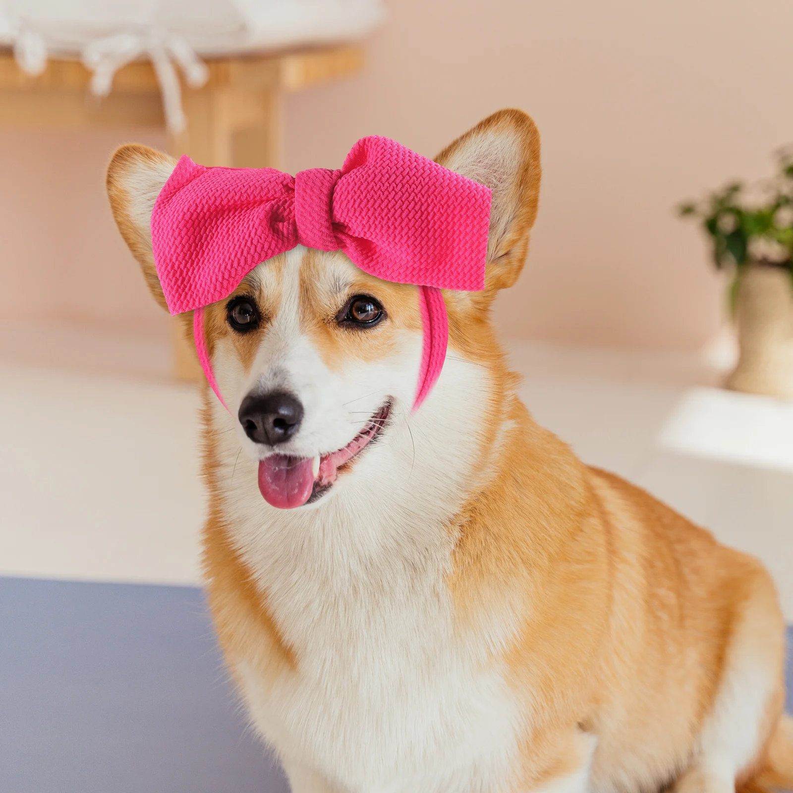 Funny Dog Headband Cosplay Accessories Bow Party Headwear Adjustable Comfortable Polyester Costume Decorations Festival Supplies
Funny Dog Headband Cosplay Accessories Bow Party Headwear Adjustable Comfortable Polyester Costume Decorations Festival Supplies